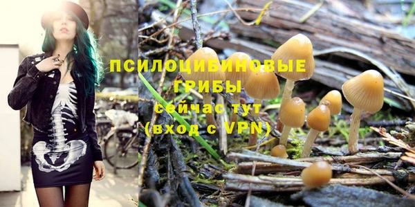 ПСИЛОЦИБИНОВЫЕ ГРИБЫ Белокуриха