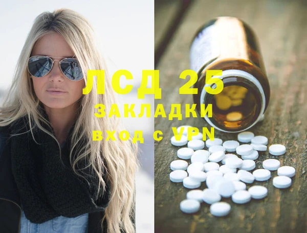 ПСИЛОЦИБИНОВЫЕ ГРИБЫ Белокуриха
