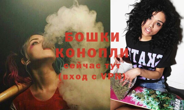 ПСИЛОЦИБИНОВЫЕ ГРИБЫ Белокуриха